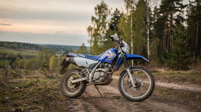 Yamaha TTR250: история модели и ключевые особенности эндуро